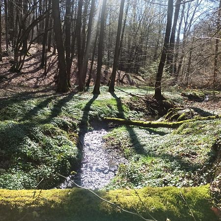 Wellness Ferienwohnung Biene Im Bergischen Land Much Dış mekan fotoğraf