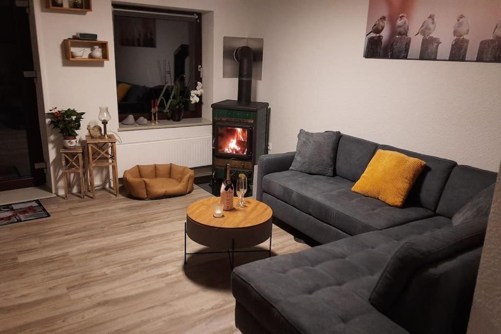 Wellness Ferienwohnung Biene Im Bergischen Land Much Dış mekan fotoğraf