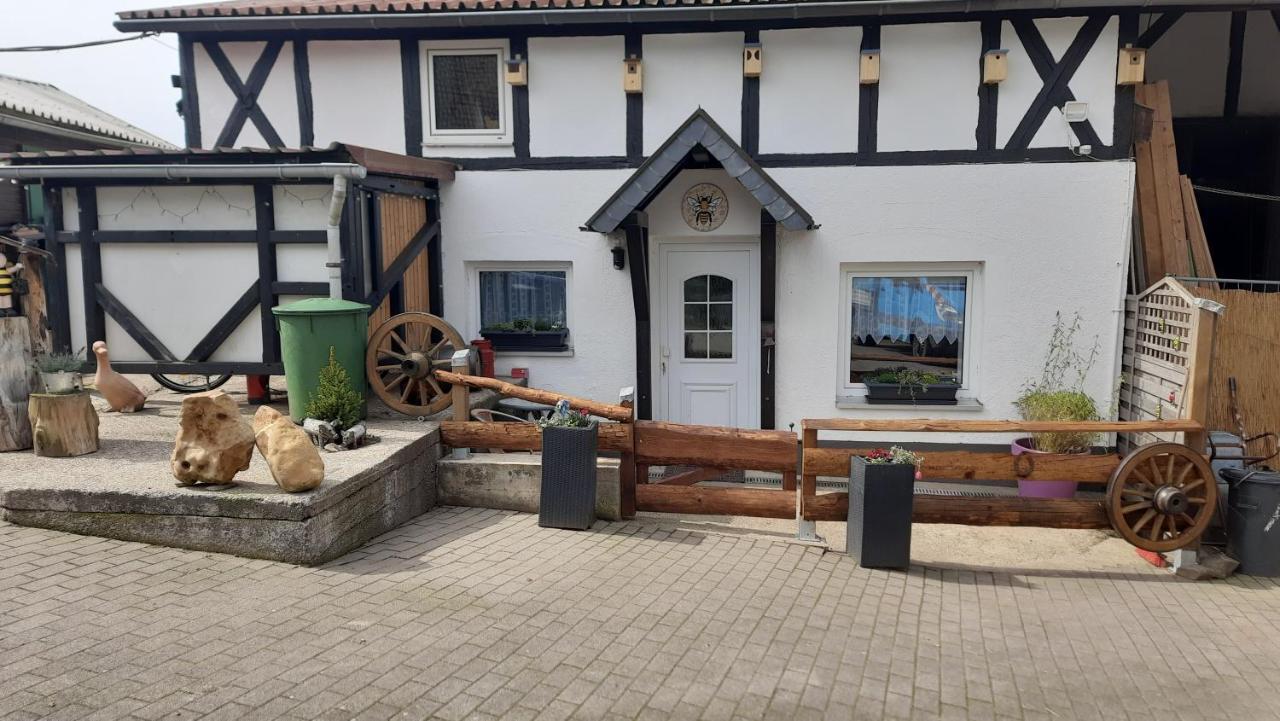 Wellness Ferienwohnung Biene Im Bergischen Land Much Dış mekan fotoğraf