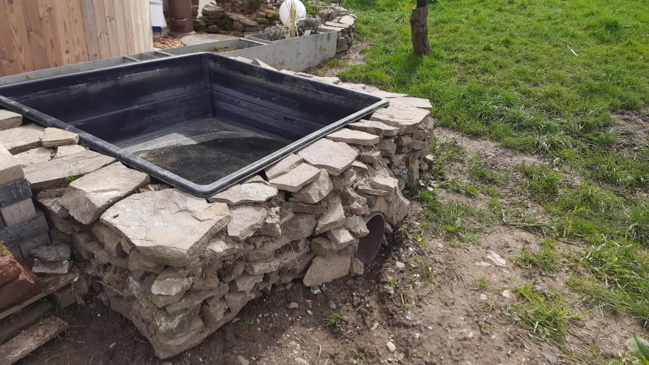 Wellness Ferienwohnung Biene Im Bergischen Land Much Dış mekan fotoğraf
